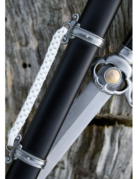 Tai Chi sword for practice