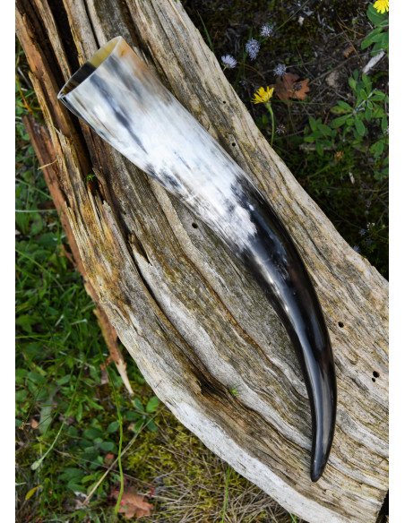 Natural drinking horn (400 ml.)
