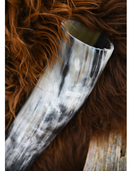 Natural drinking horn (400 ml.)