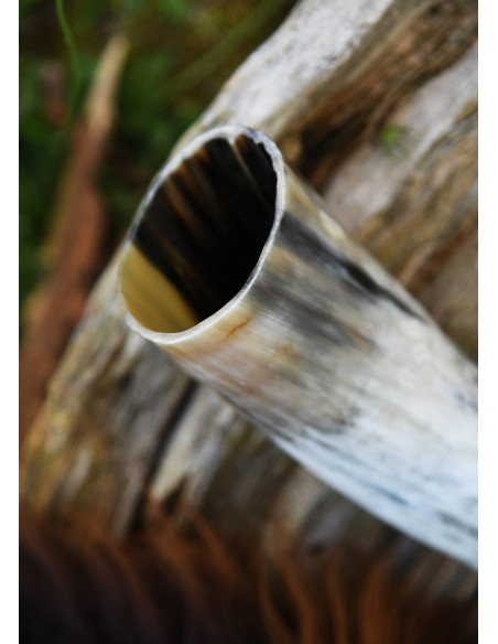 Natural drinking horn (400 ml.)
