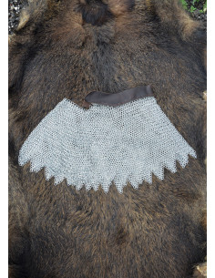 Alpartaz galvanized rings and leather edge