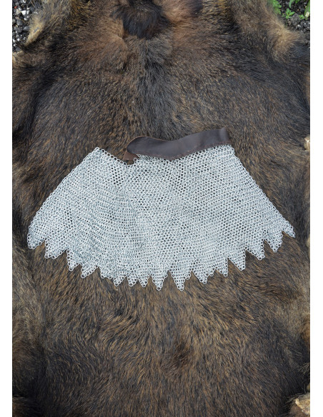 Alpartaz galvanized rings and leather...