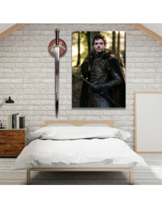 Pack banner + Rob Stark's Sword, Game of Thrones 2