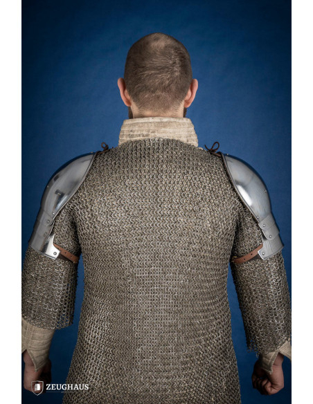 Medieval shoulder pads with polished...