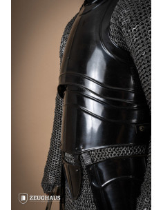 Medieval warrior cuirass with burnished steel straps 2