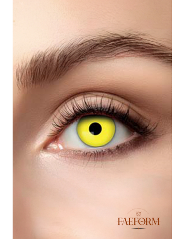 Basilisco weekly contact lenses