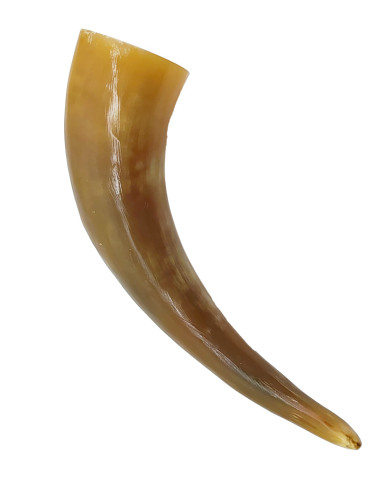 Natural horn with brown leather baldric (300-500 ml.)