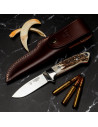 Hunting collection knife, deer handle