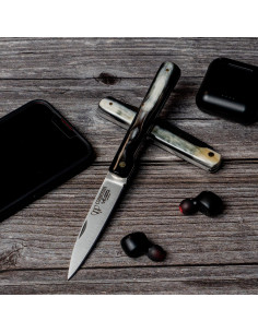 Vendetta penknife bull horn, blade 9 cms.