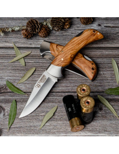 Olive handle hunting knife, blade 9.5 cms.