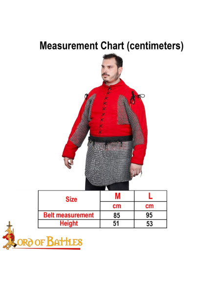 Mild steel chain mail skirt riveted... Mild steel chain mail skirt riveted...