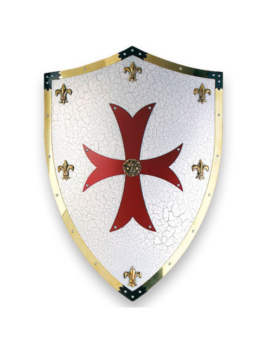 shield crusaders
