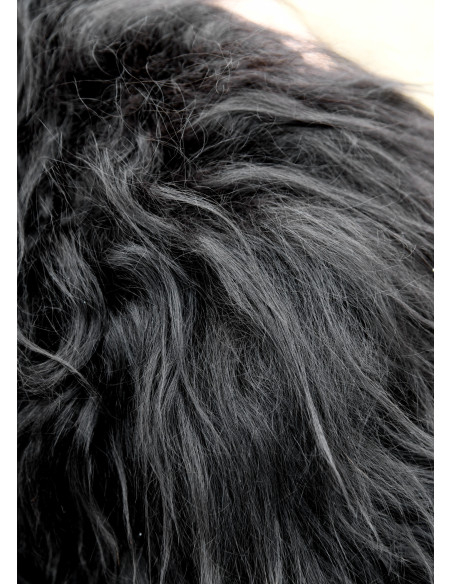 Viking shoulder pads for children in... Viking shoulder pads for children in...