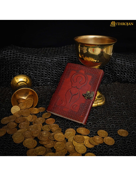 Medieval handmade leather diary...