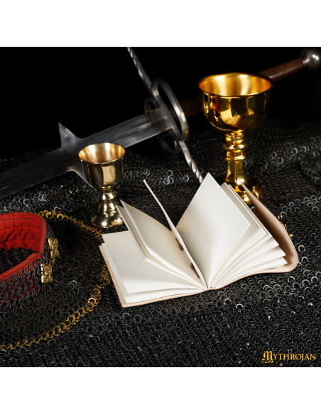 Medieval handmade leather diary...