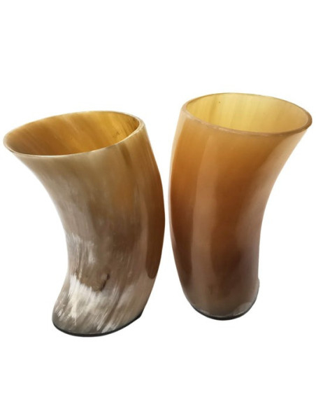 Set of 2 Viking horn drinking glasses