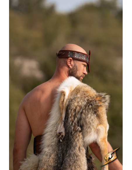 Force headband, with nose guard, dark...