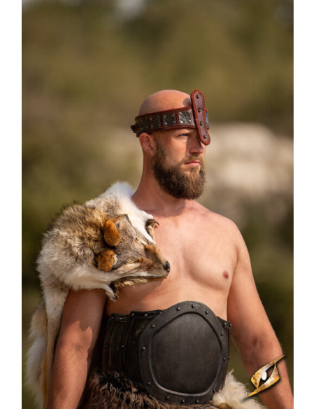 Force headband, with nose guard, dark...