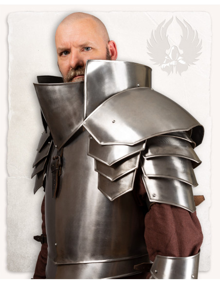 Medieval polished steel shoulder pads...