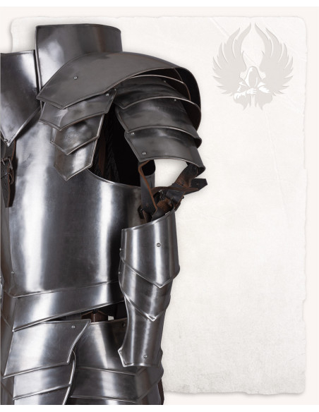 Medieval polished steel shoulder pads...