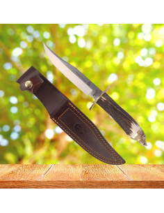 Hunting knives Muela Wild Boar