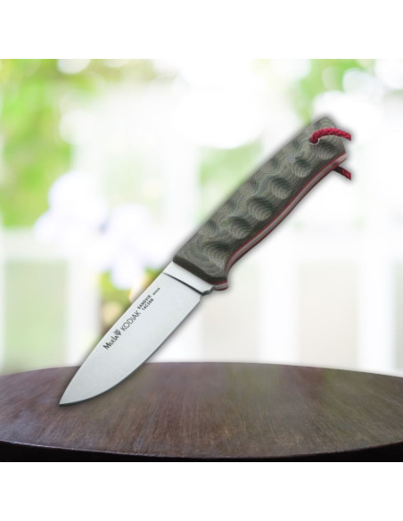 Muela Kodiak sport knife, micarta and desert Kydex sheath