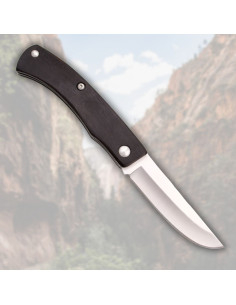 Third brand folding knife with ebony wood (20.3 cm) 2