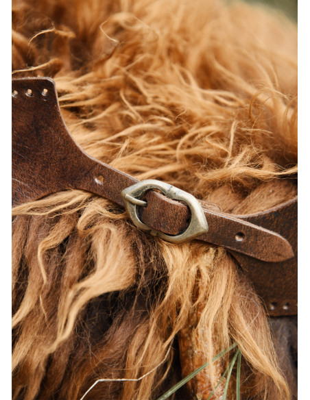 Buckle collar closure, brown