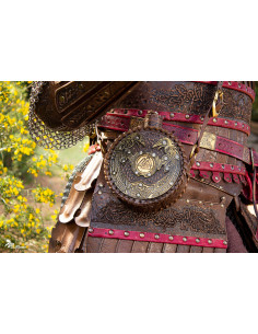 Odin's Viking Water Bottle with Strap