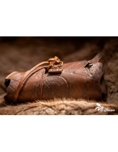 Celtic Vegvisir Bag of the Barbarians 2