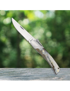 Horn Handle Folding Knife (20.50 cm)