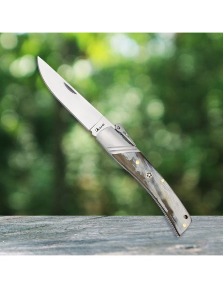 Horn Handle Folding Knife (20.50 cm)