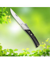 Albainox Black Stamina Wood Folding Knife (20.50 cm)