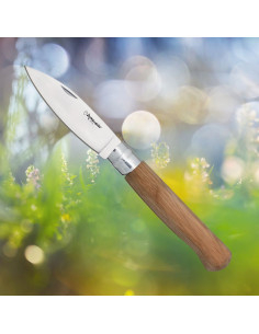 Extremeña Cabritera Girolock Knife (22.30 cm)