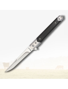 Albainox knife with black stamina handle (21.2 cm)