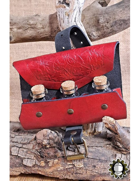 Medieval red leather bag for 3...