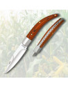 Albainox Knife with Red Stamina Handle (19.4 cm)