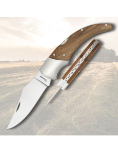 Albainox Knife with Zebra Wood Handle (20 cm)