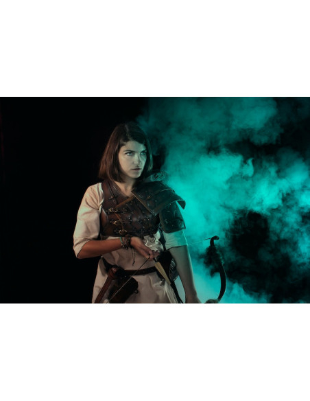 Rogue bib model Explorer, with...