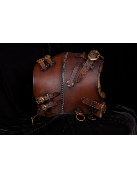 Rogue bib model Explorer, with...