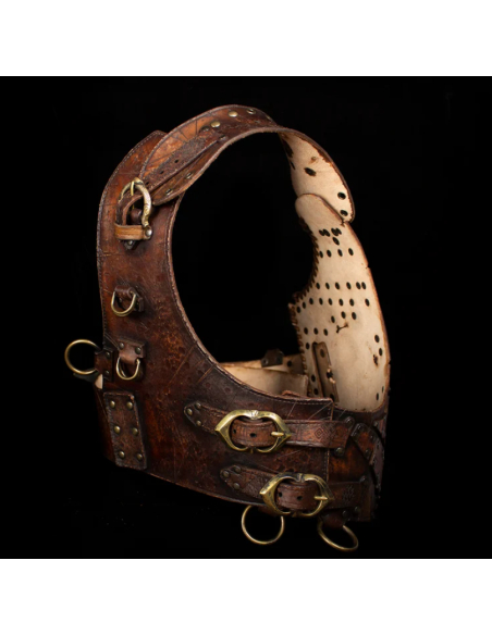Brown leather chest piece model...