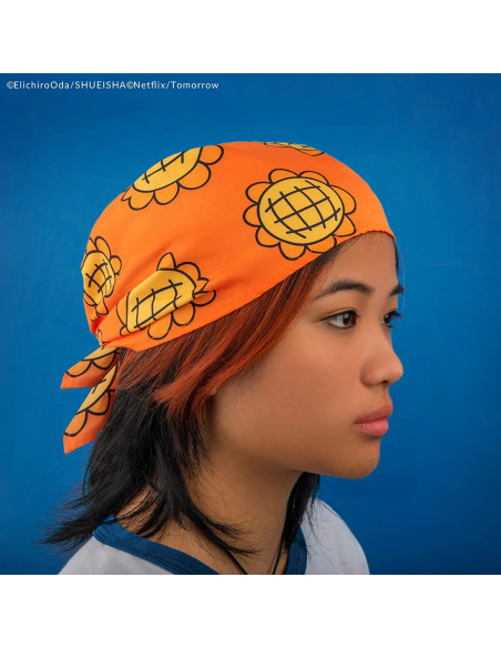 Nami's Coins and Bandana - One Piece