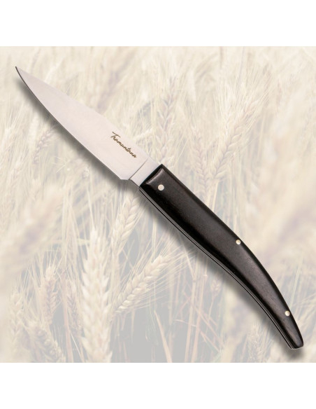 Tramuntana Point Knife N92E