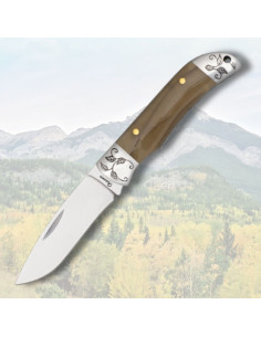 Albainox Knife with Acrylic Handle (18.5 cm)