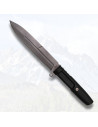 Tactical knife with sheath PTR (29 cm.)