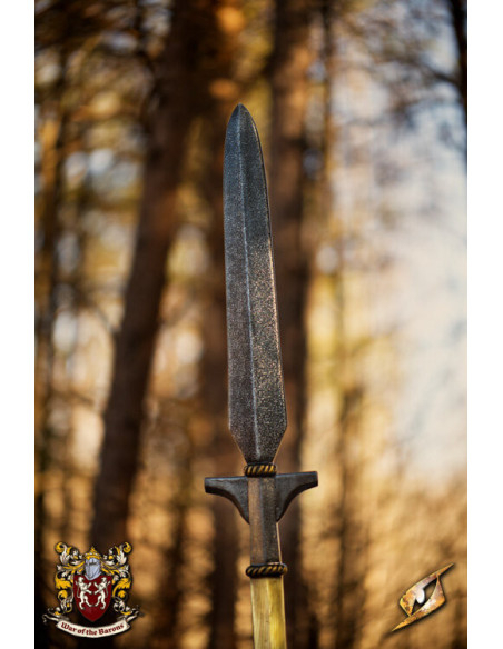 Medieval warrior's lance for LARP...