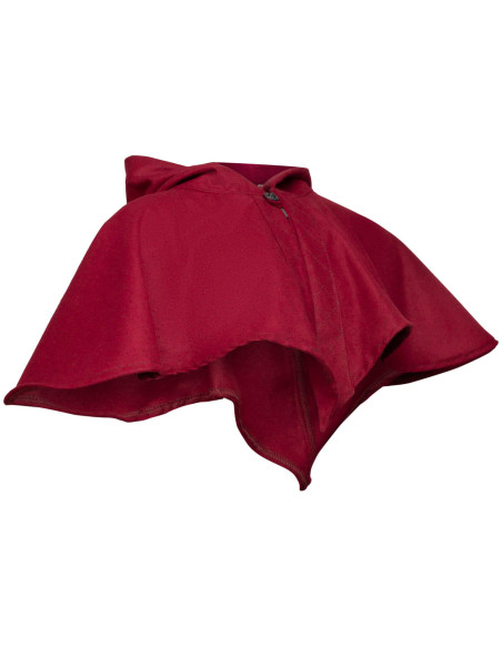 Medieval hood and shoulder cover in...