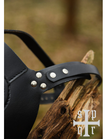 Plague Doctor Set: mask and hat