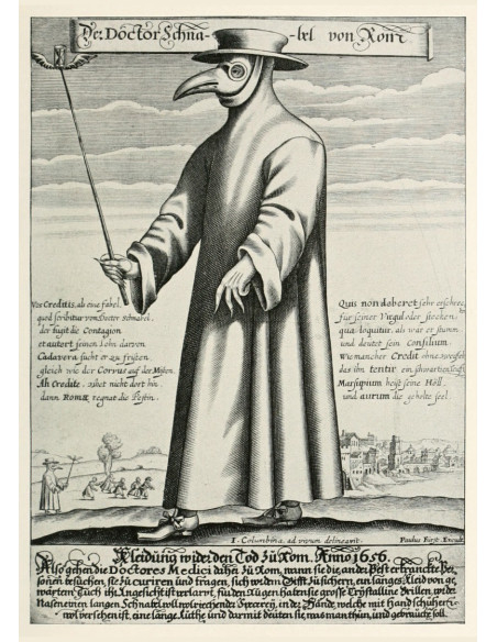 Plague Doctor Set: mask and hat