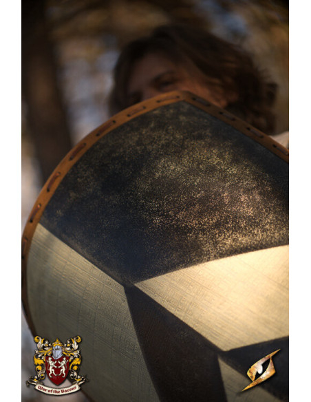 Medieval shield model Baron for LARP Medieval shield model Baron for LARP